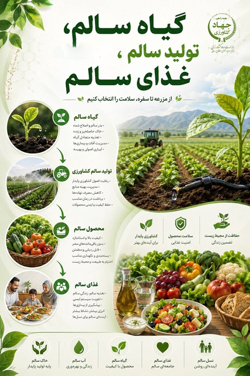 اینفو 1 
